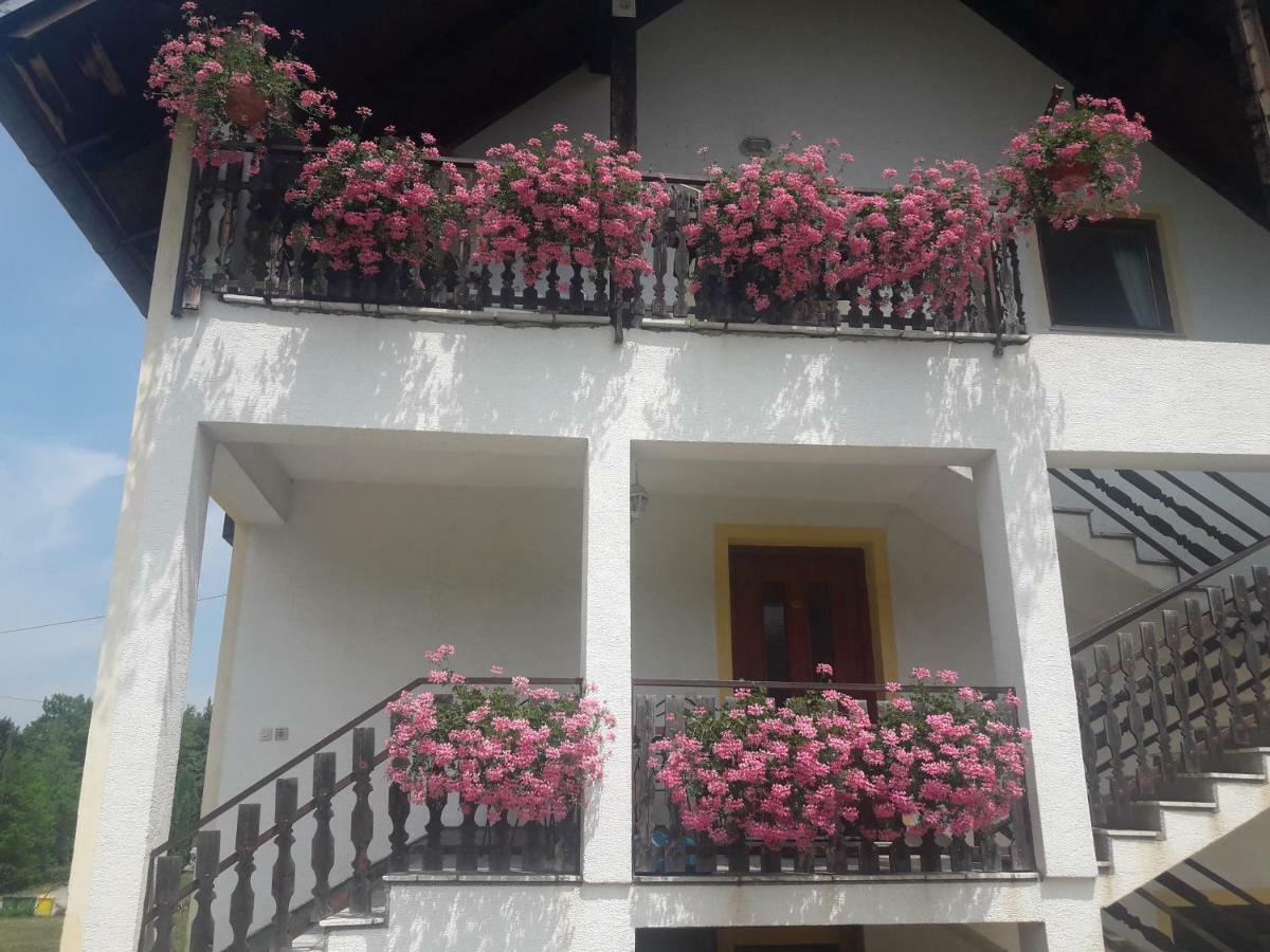 Apartment Gabi Smoljanac Exterior foto